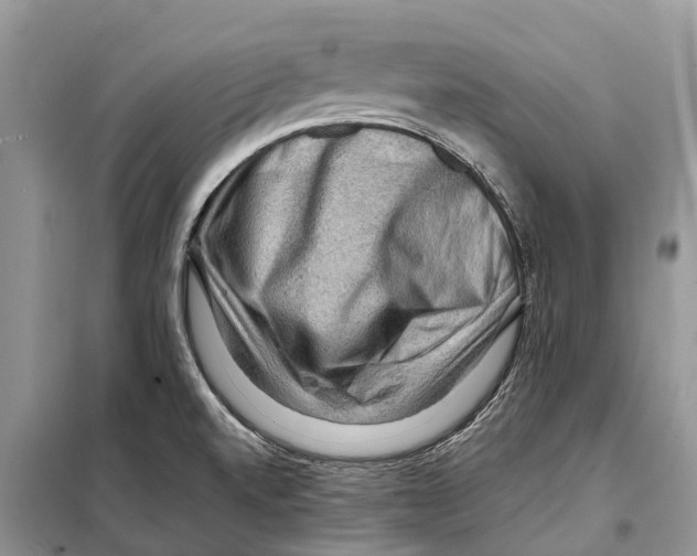 X0000097921520200804111126