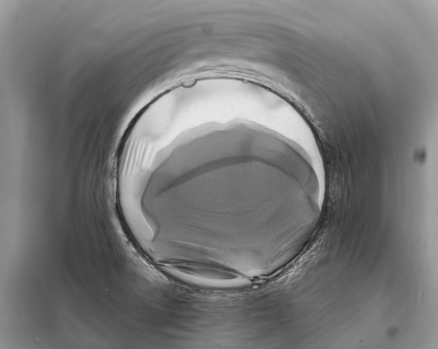 X0000097921522200804111126