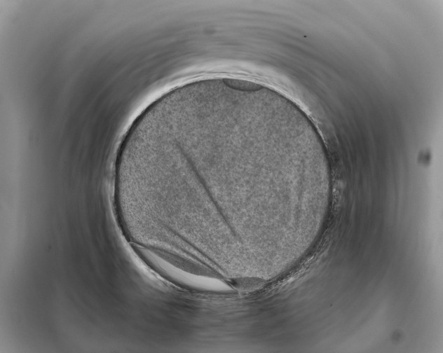 X0000097921523200804111126