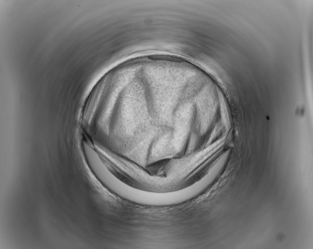 X0000097921524200804111126