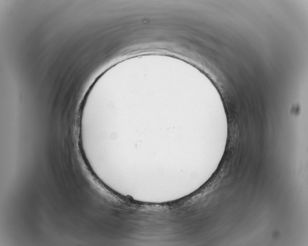 X0000097921526200804111126