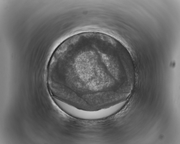 X0000097921527200804111126