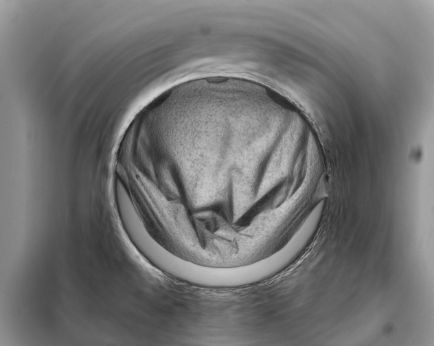 X0000097921528200804111126