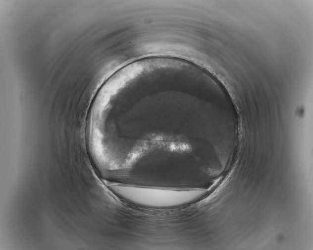 X0000097921529200804111126