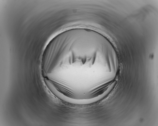 X0000097921530200804111126