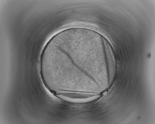 X0000097921531200804111126