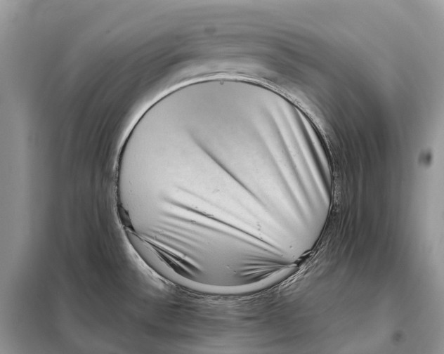 X0000097921532200804111126