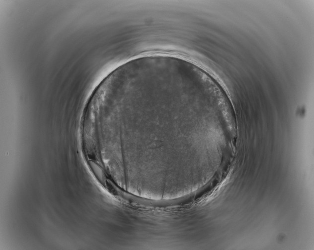 X0000097921533200804111126