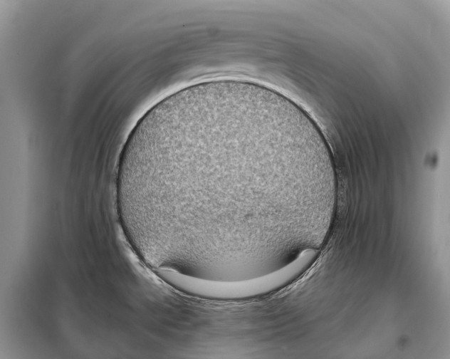 X0000097921534200804111126