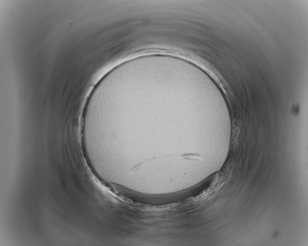 X0000097921535200804111126