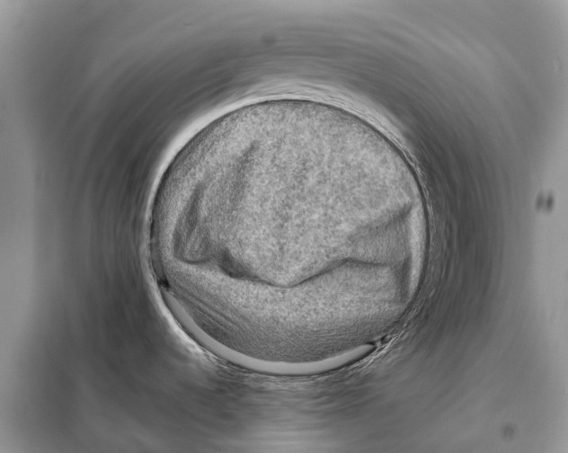 X0000097921536200804111126