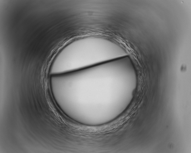 X0000097950002200803241029