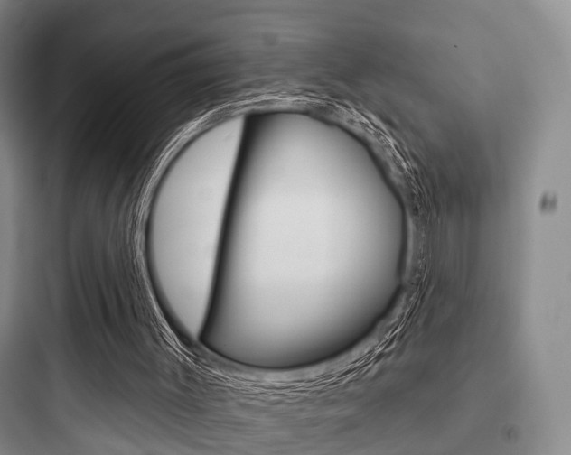 X0000097950003200803241029