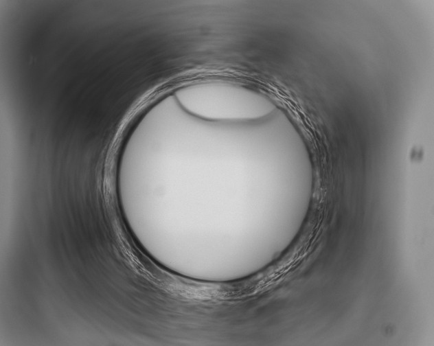 X0000097950004200803241029
