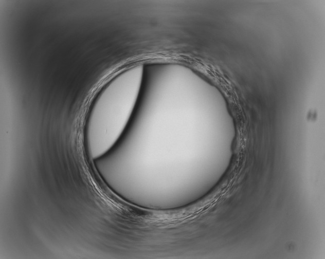 X0000097950005200803241029