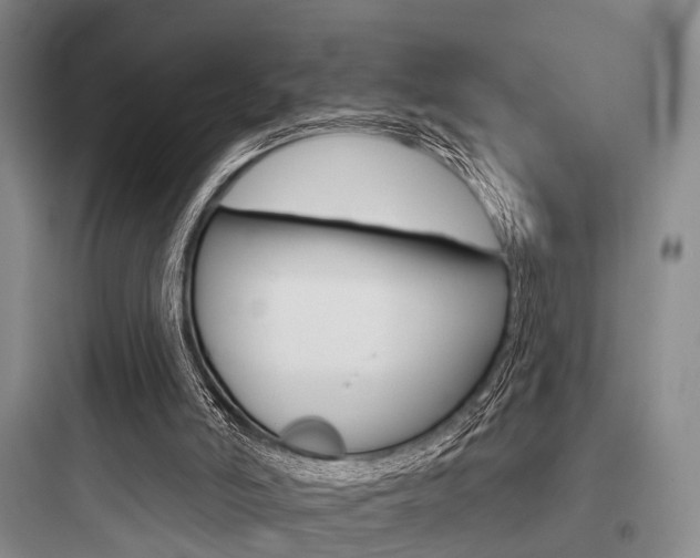 X0000097950006200803241029