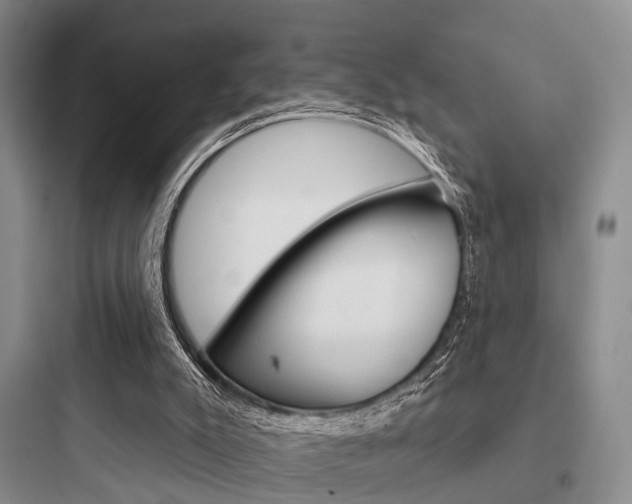 X0000097950007200803241029