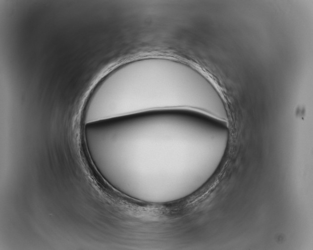 X0000097950008200803241029