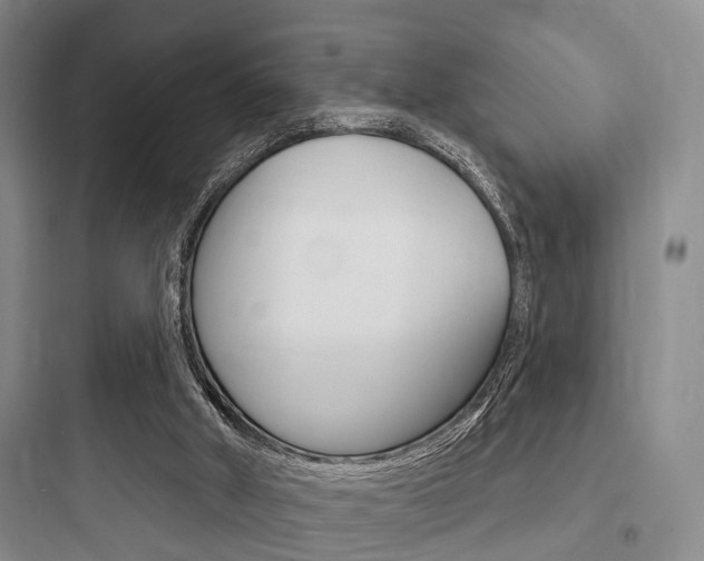 X0000097950010200803241029