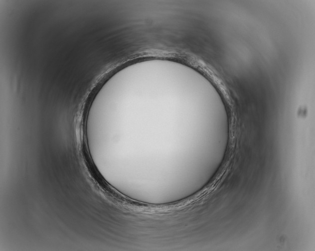 X0000097950011200803241029