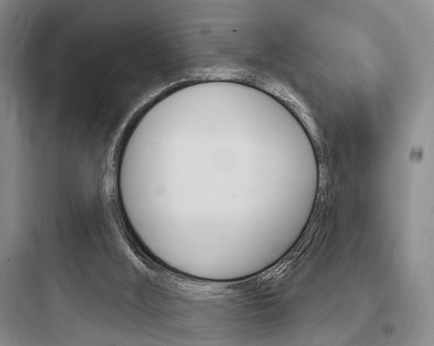 X0000097950012200803241029