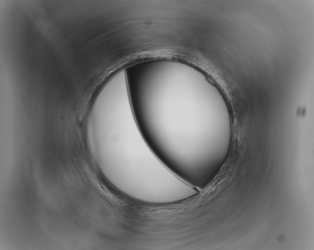 X0000097950013200803241029