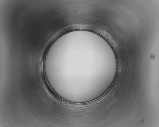 X0000097950014200803241029