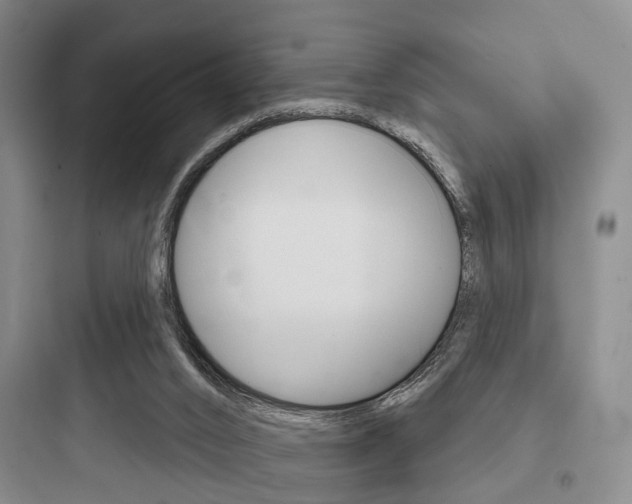 X0000097950016200803241029