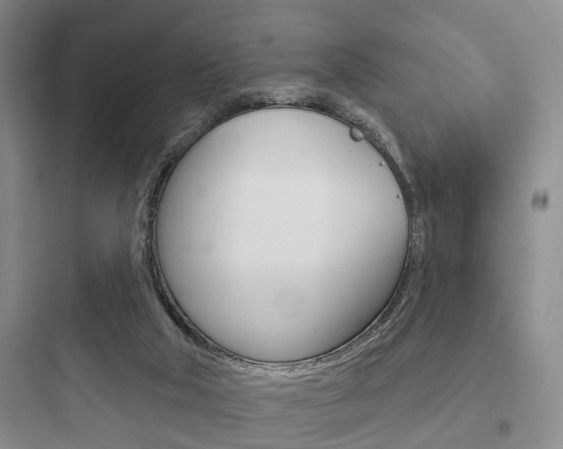X0000097950018200803241029
