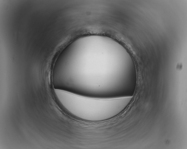 X0000097950019200803241029