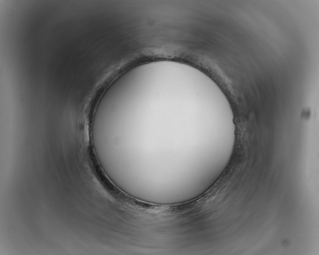 X0000097950020200803241029