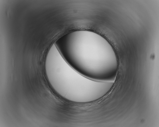 X0000097950021200803241029