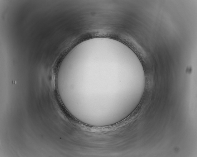 X0000097950022200803241029