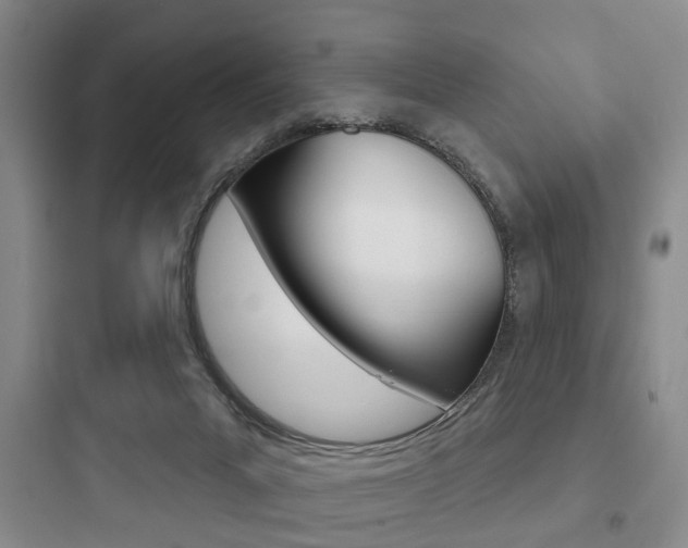 X0000097950023200803241029