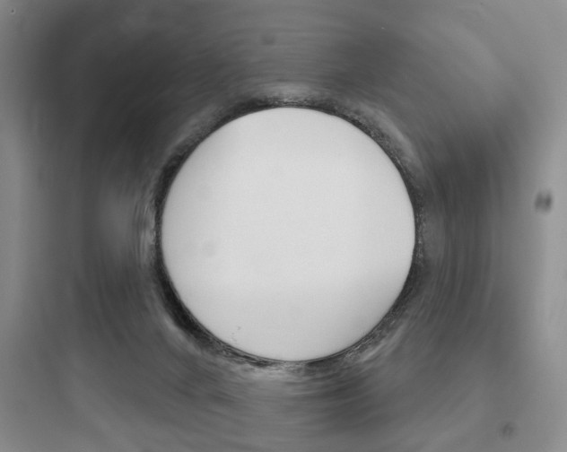 X0000097950024200803241029