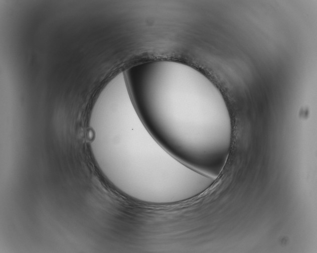 X0000097950025200803241029