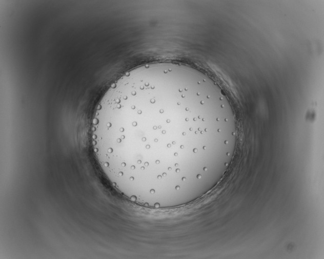 X0000097950026200803241029