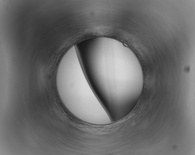 X0000097950027200803241029