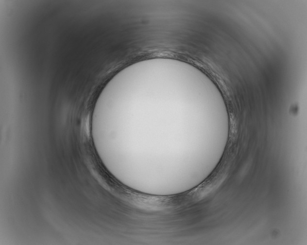 X0000097950028200803241029