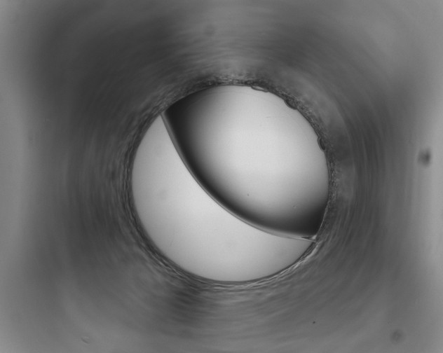 X0000097950029200803241029