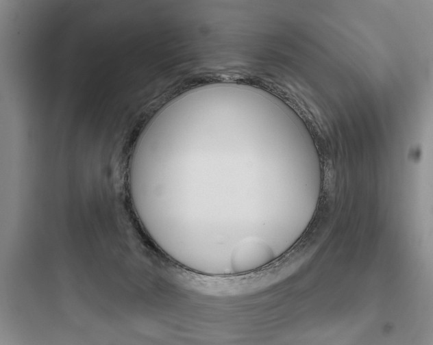 X0000097950030200803241029