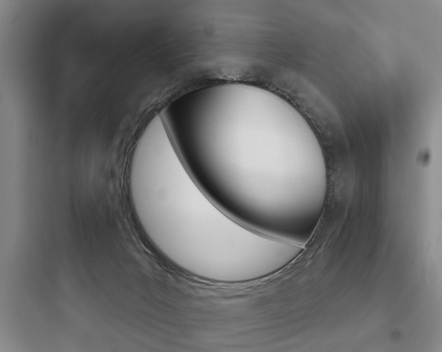 X0000097950031200803241029