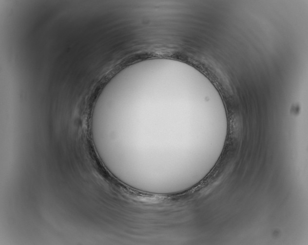X0000097950032200803241029