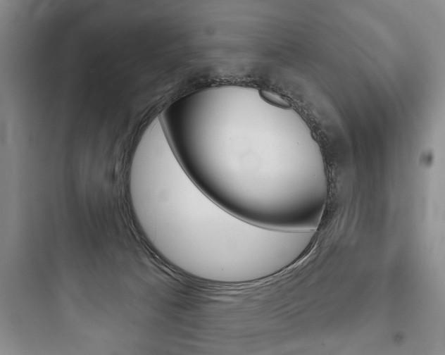 X0000097950033200803241029