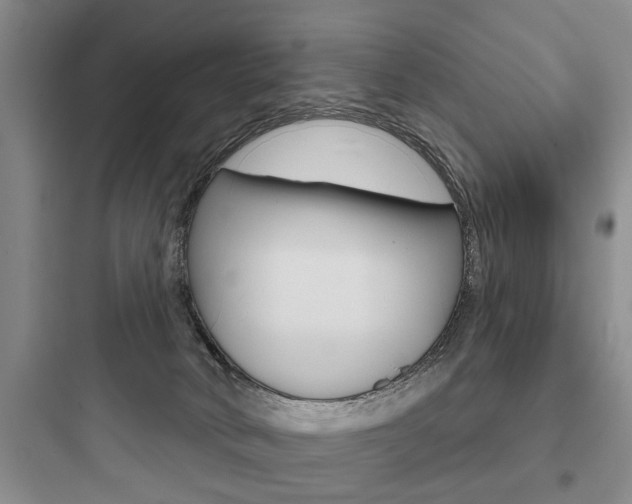 X0000097950034200803241028