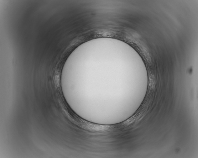 X0000097950036200803241028