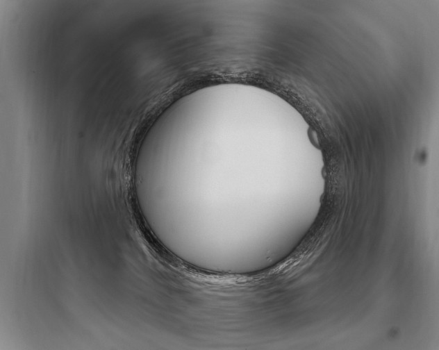 X0000097950040200803241028