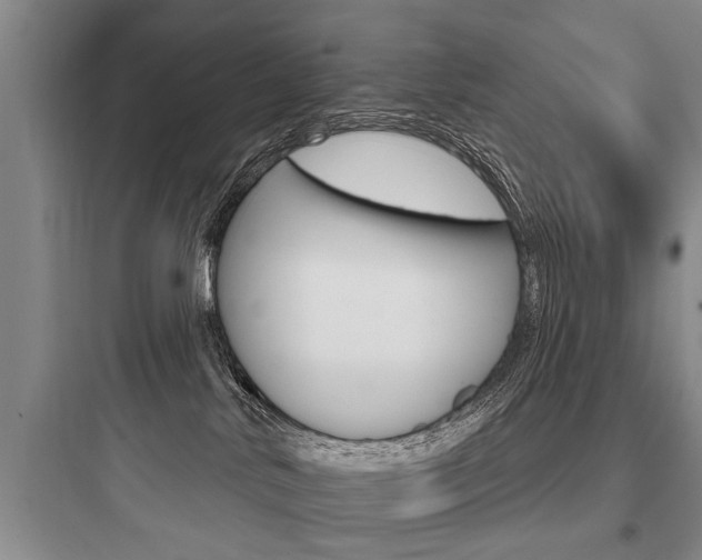X0000097950042200803241028