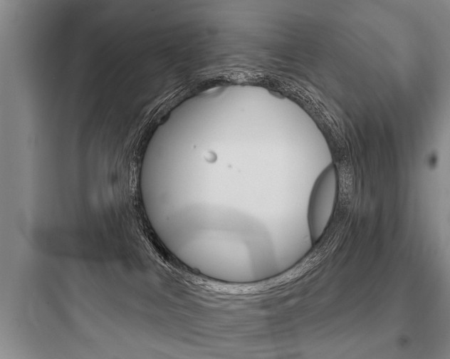 X0000097950043200803241028