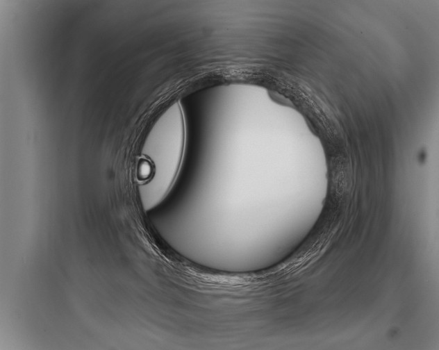 X0000097950044200803241028
